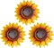 Set of 3 Metal Sunflower Wall Decor – 9" Handmade Flower Art for Indoor & Outdoor
